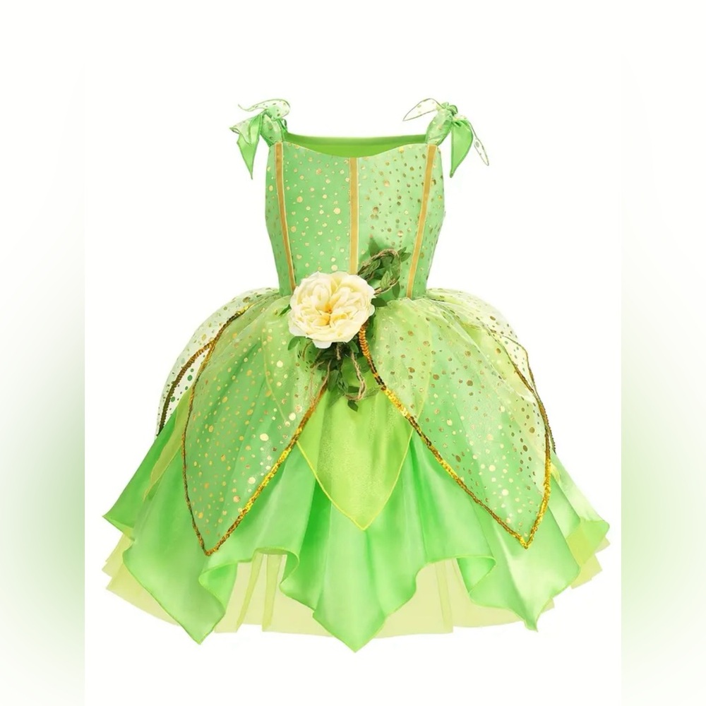 Fairy Costume